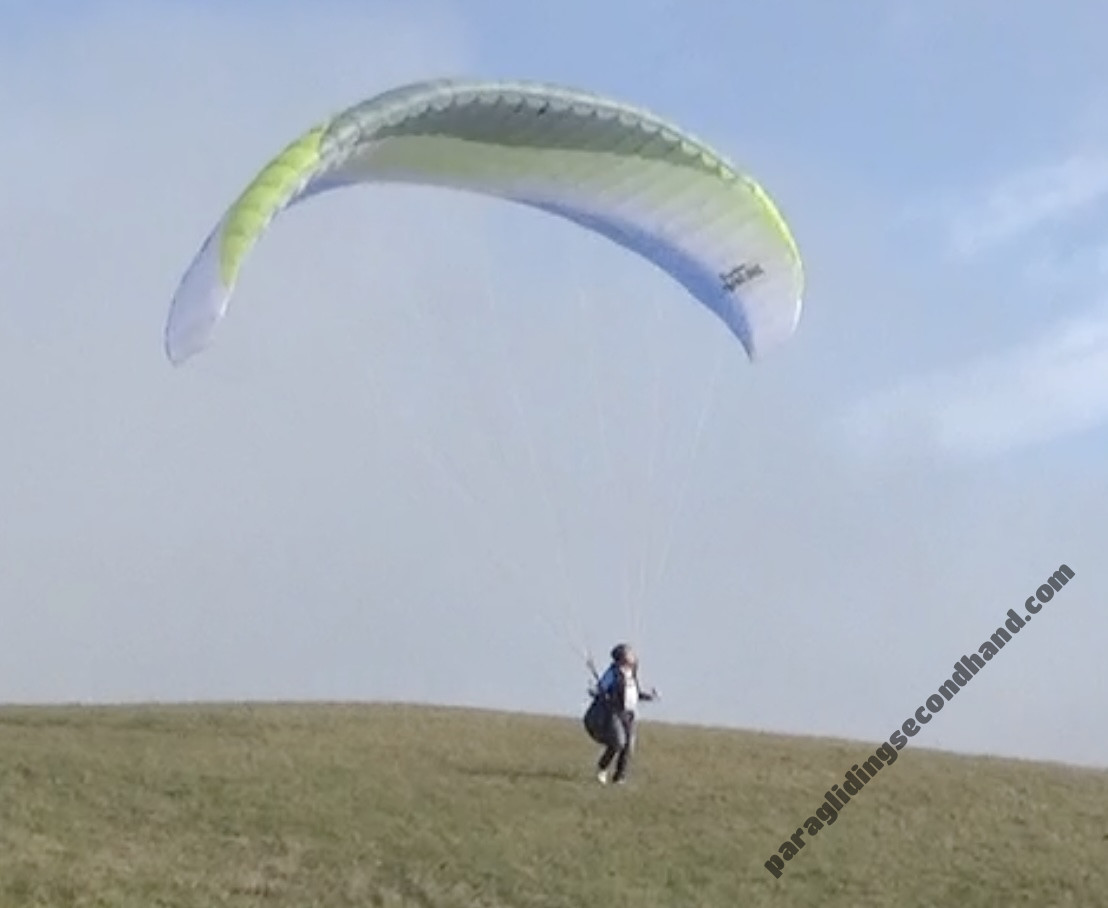 Papillon Raqoon, M, 2023, (85-105kg), 3h - Image 2