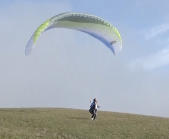 Papillon Raqoon, M, 2023, (85-105kg), 3h