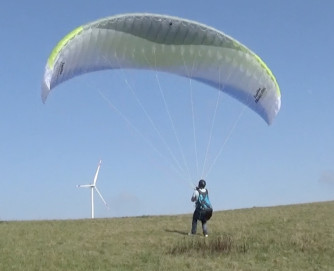 Papillon Raqoon, M, 2023, (85-105kg), 3h