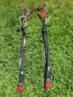 Phi Maestro 2, 22m, 2022, (83-103kg), 190h