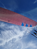Phi Maestro 2, 22m, 2022, (83-103kg), 190h