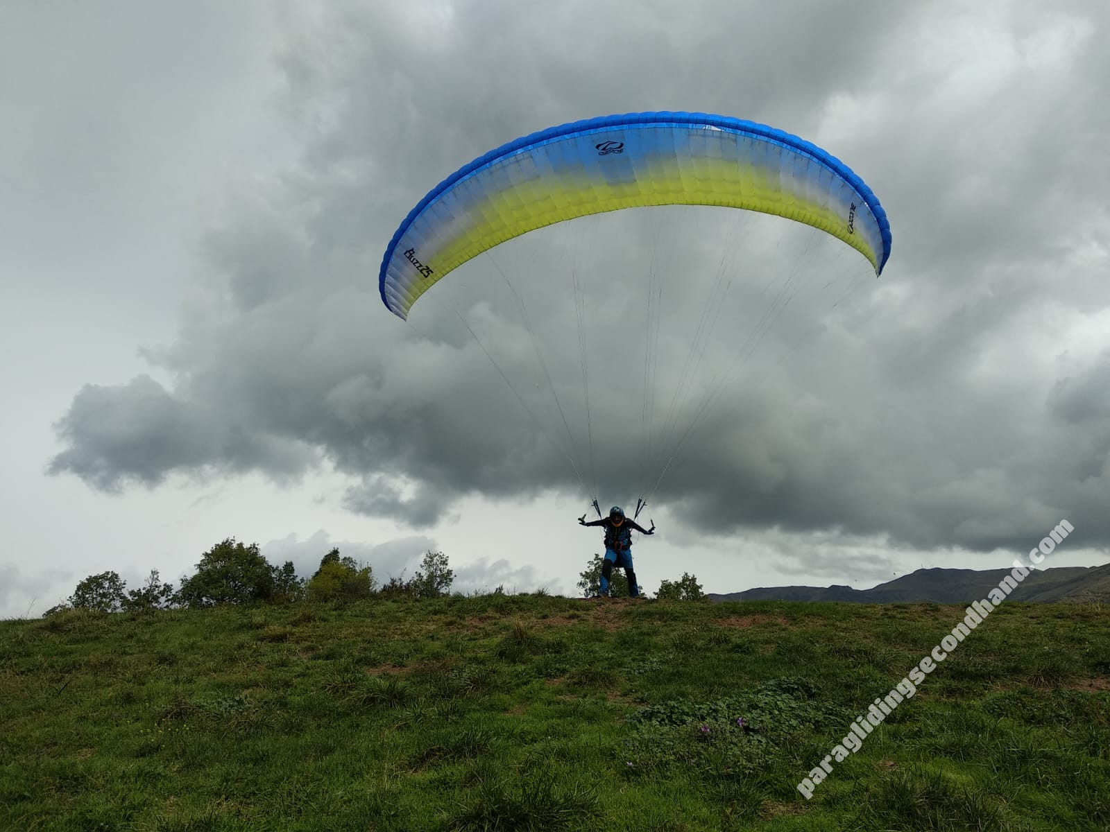 Ozone Buzz z5, M/S, 2017, (75-95kg), 120h - Image 3