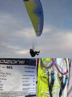 Ozone Buzz z5, M/S, 2017, (75-95kg), 120h