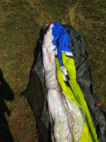 Ozone Buzz z5, M/S, 2017, (75-95kg), 120h