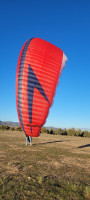 Swing ARCUS 2 RS, M, 2022, (85-105kg), 80h