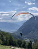 Advance PiBi, 37, 2019, (100-180kg), 20h