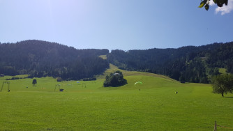 2019, unter 30h, Icaro FALCO, Gr. L (Blau-Gelb), Gurtzeug Icaro XEMA Gr. L, Leichtrettung Alfa CROSS 115