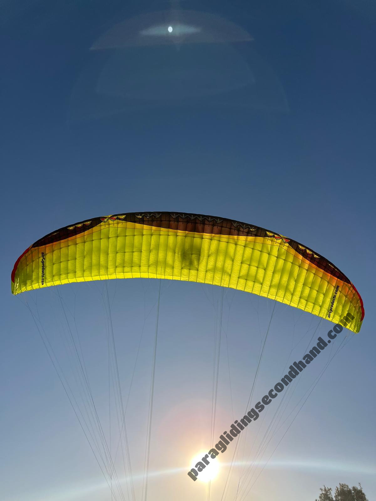 AIRG Emilie Peace 2, 18, 2024, (0-150kg), 20h - Image 2