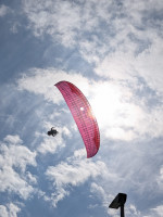 GIN Gliders Calypso 2 XS, XS, 2024, (65-85kg), 15h