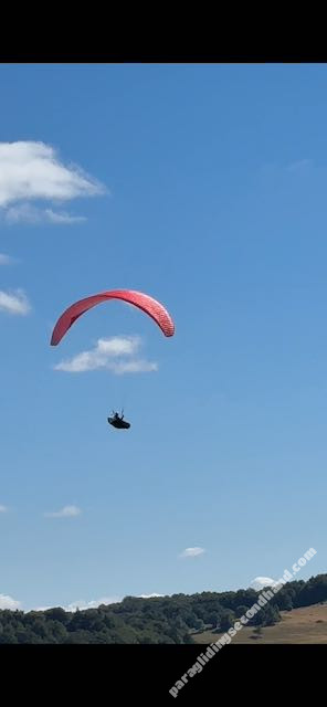 GIN Gliders Camino, L, 2023, (95-120kg), 53h - Image 4
