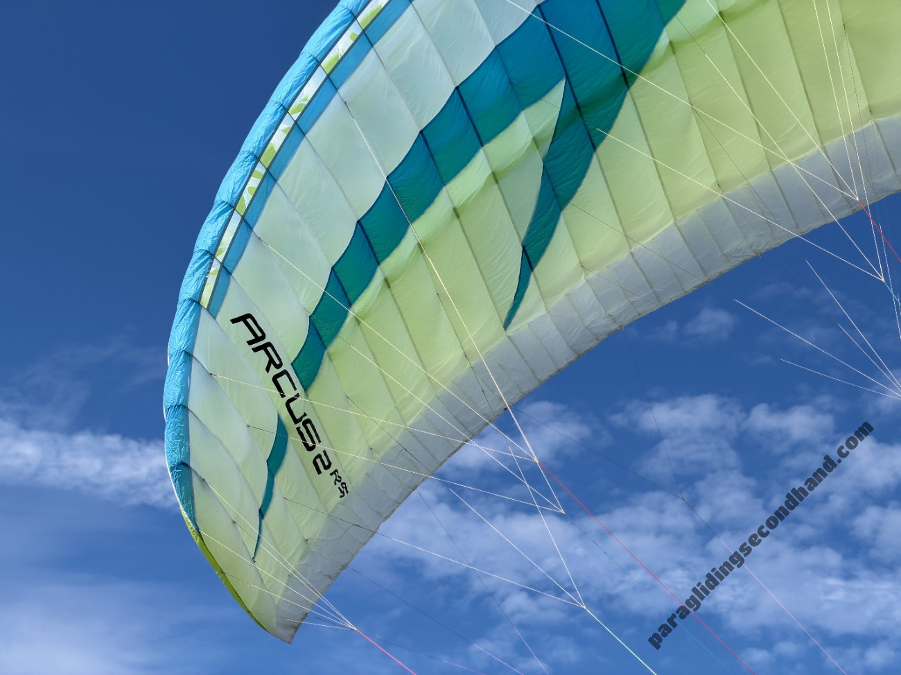 Swing Arcus 2 RS, M, 2022, (85-105kg), 70h - Image 3