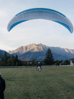 Advance BIBETA6/41, 41, 2016, (120-225kg), 300h