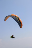 Ozone Delta 4, S, 2020, (65-85kg), 250h