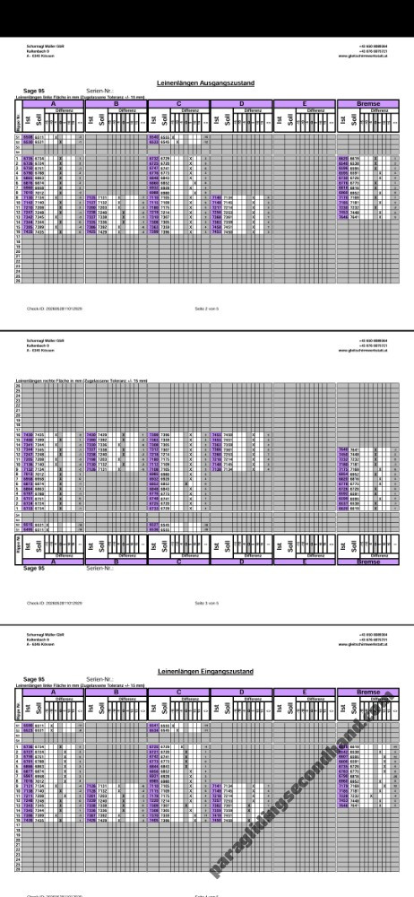 Skywalk Sage, 95, 2025, (75-95kg), 42h - Image 2