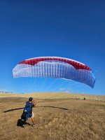 GIN Gliders Bolero 7, s, 2024, (75-100kg), 45h