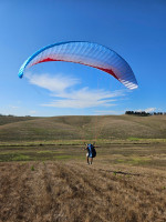 GIN Gliders Bolero 7, s, 2024, (75-100kg), 45h