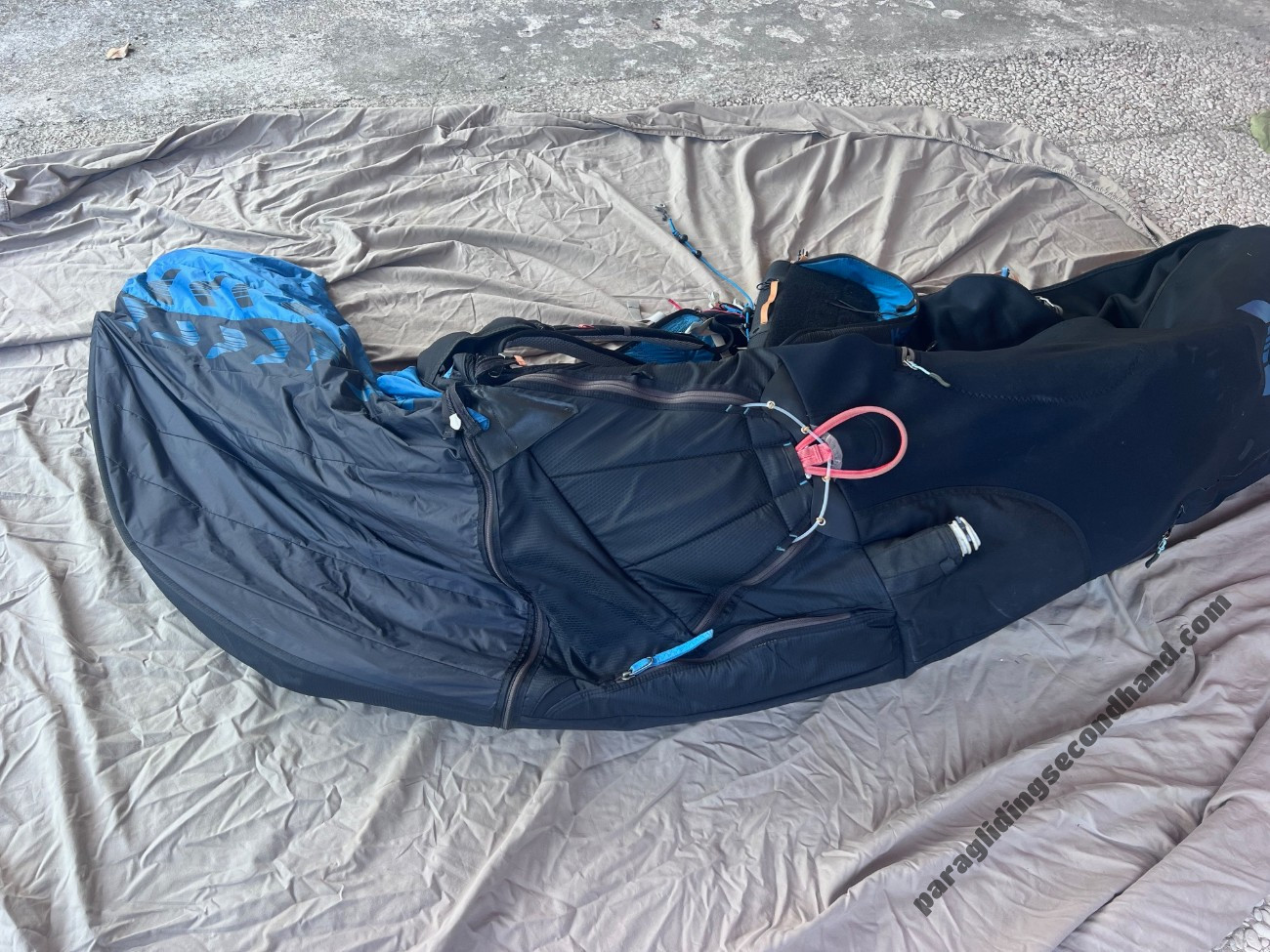 Kortel Design kanibal race, L, 2019 - Image 5
