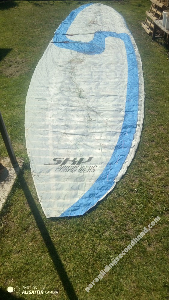 Sky Ares, L, 2005, (80-100kg), 80h - Image 3