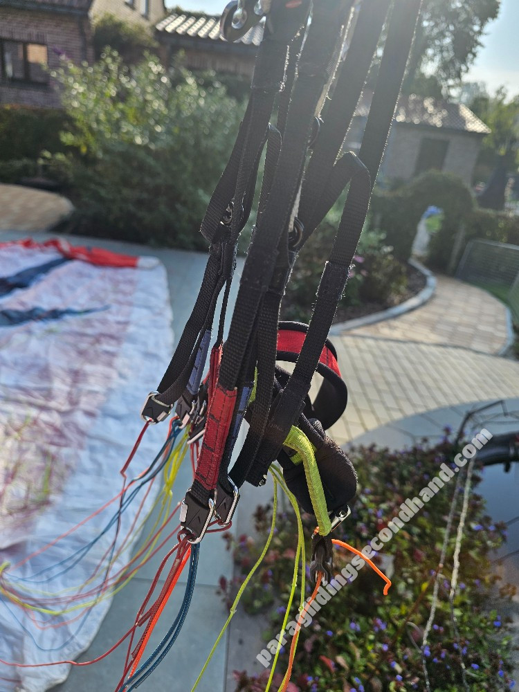 Swing Miura, XS, 2022, (55-75kg), 80h - Bild 5