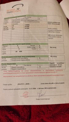 Skywalk MINT, 95, 2023, (75-95kg), 100h