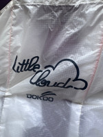Little Cloud Goose MK2, 16m2, 2016, (55-120kg), 400h
