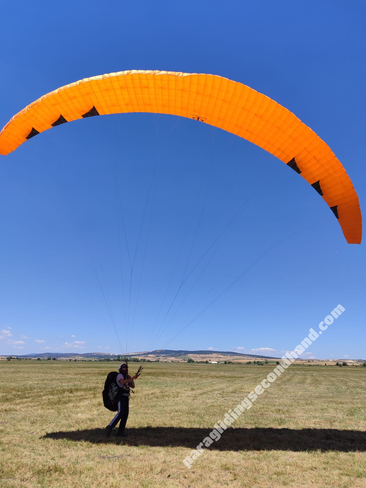 Phi Maestro-2, L, 2024, (90-115kg), 10h - Image 2