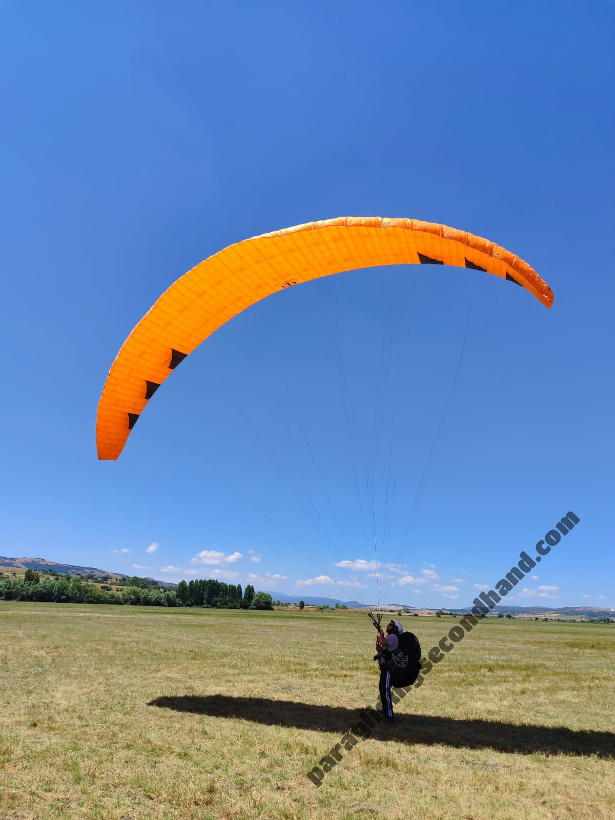Phi Maestro-2, L, 2024, (90-115kg), 10h - Image 3