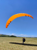 Phi Maestro-2, L, 2024, (90-115kg), 10h