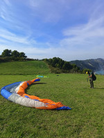 Skywalk chili 4, M, 2016, (95-115kg), 250h