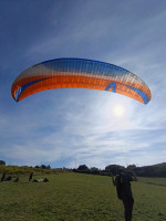 Skywalk chili 4, M, 2016, (95-115kg), 250h
