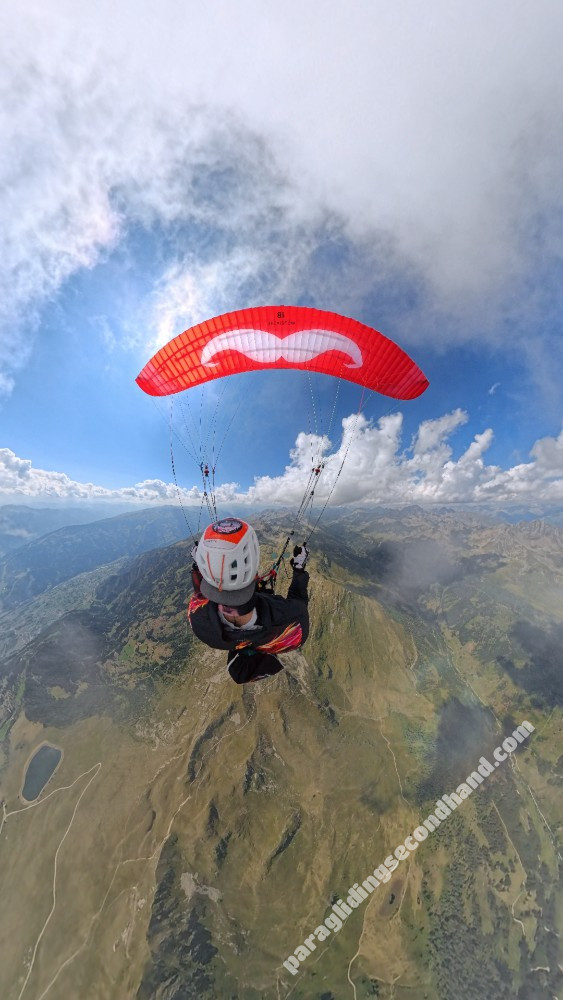 Flare Moustache, 18, 2024, (50-120kg), 14h - Bild 6