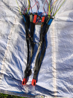 Swing Sense, SM, 2015, (80-102kg), 30h
