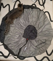Concertina bags and speed bag