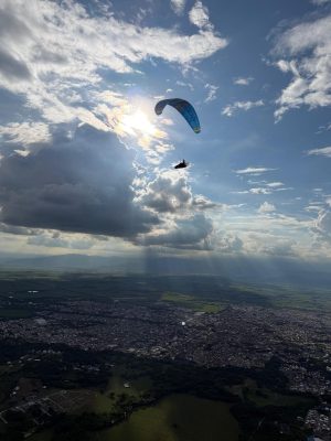 Sky Merlin, SM, 2025, (77-92kg), 20h