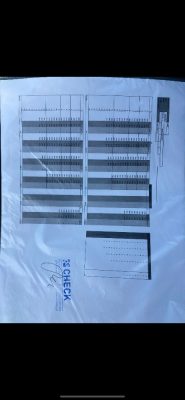 GIN Gliders yeti, 21, 2023, (50-95kg), 8h