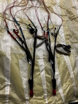 Davinci Gliders Funky, S, 2021, (70-95kg), 50h