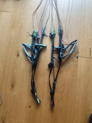 Niviuk Icepeak x-one, 24, 2024, (98-112kg), 250h