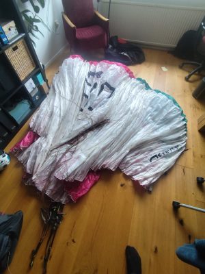 Niviuk Icepeak x-one, 24, 2024, (98-112kg), 250h