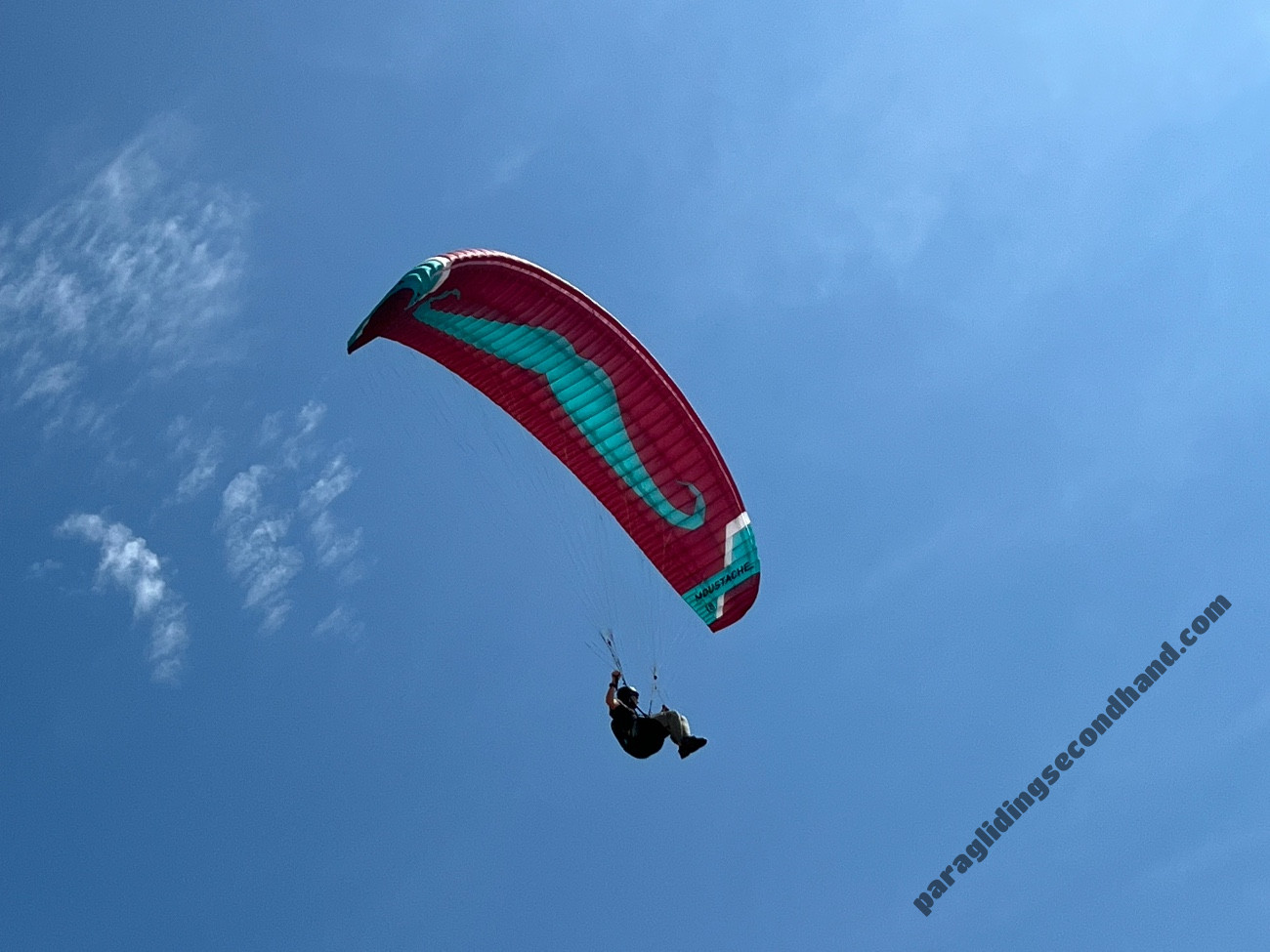 Flare Moustache 2, 18, 2025, (50-125kg), 10h - Image 4