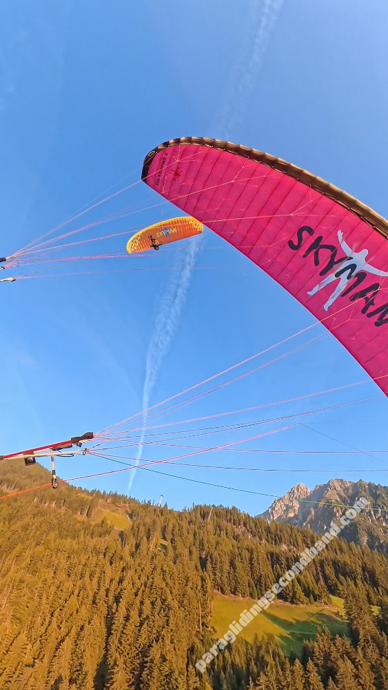 Skyman Sir Edmund 2, 20, 2020, (70-100kg), 65h - 画像 2