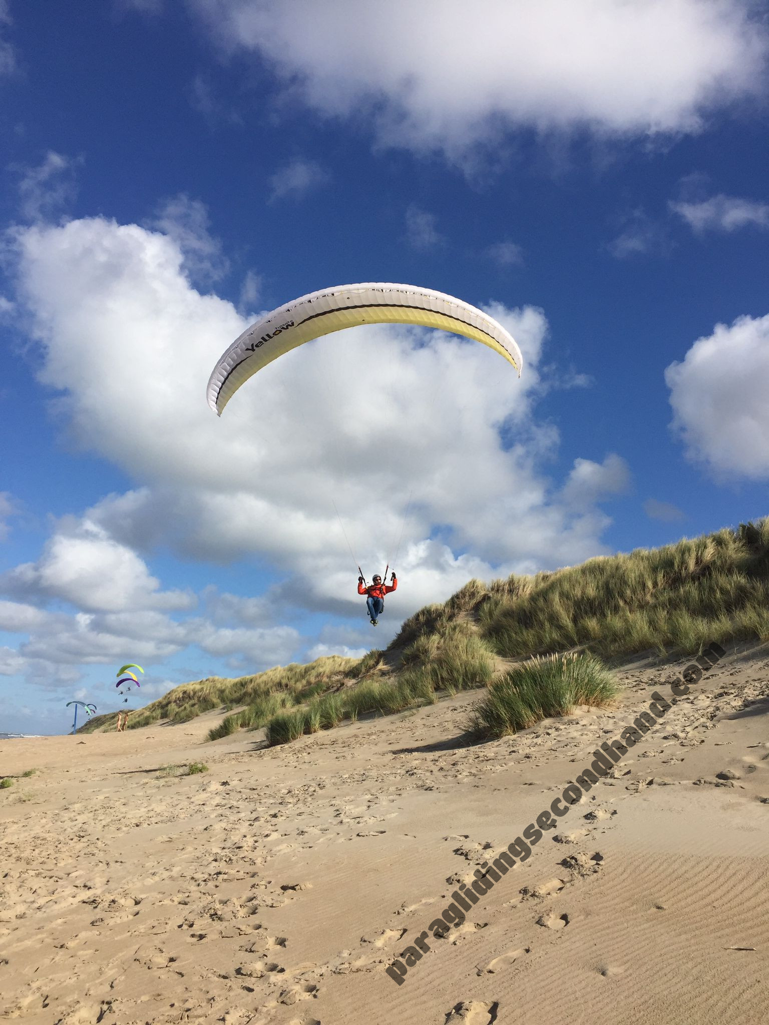 Gradient Freestyle 3, 20, 2019, (60-110kg), 30h - Image 2