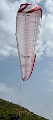 UP Torre, L, 2026, (95-115kg), 18h