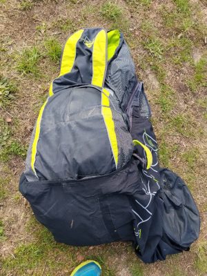 Supair Delight 2, M, 2014