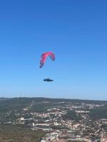 GIN Gliders Race 5, M, 2024