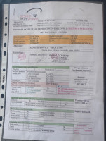 Skywalk Mint, 75, 2023, (55-75kg), 70h