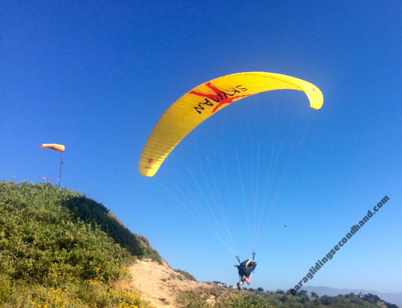 Skyman Heartbeat, 25, 2015, (80-100kg), 50h
