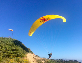 Skyman Heartbeat, 25, 2015, (80-100kg), 50h