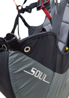 Davinci Gliders SOUL, M, 2025