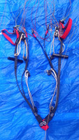 Phi Maestro 2, 23, 2023, (90-115kg), 80h