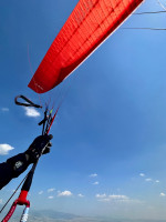GIN Gliders Avid (High B), M, 2022, (85-105kg), 82h